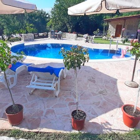 Vila Pegaz Virpazar Bagian luar foto