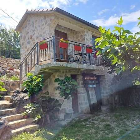 Vila Pegaz Virpazar Bagian luar foto