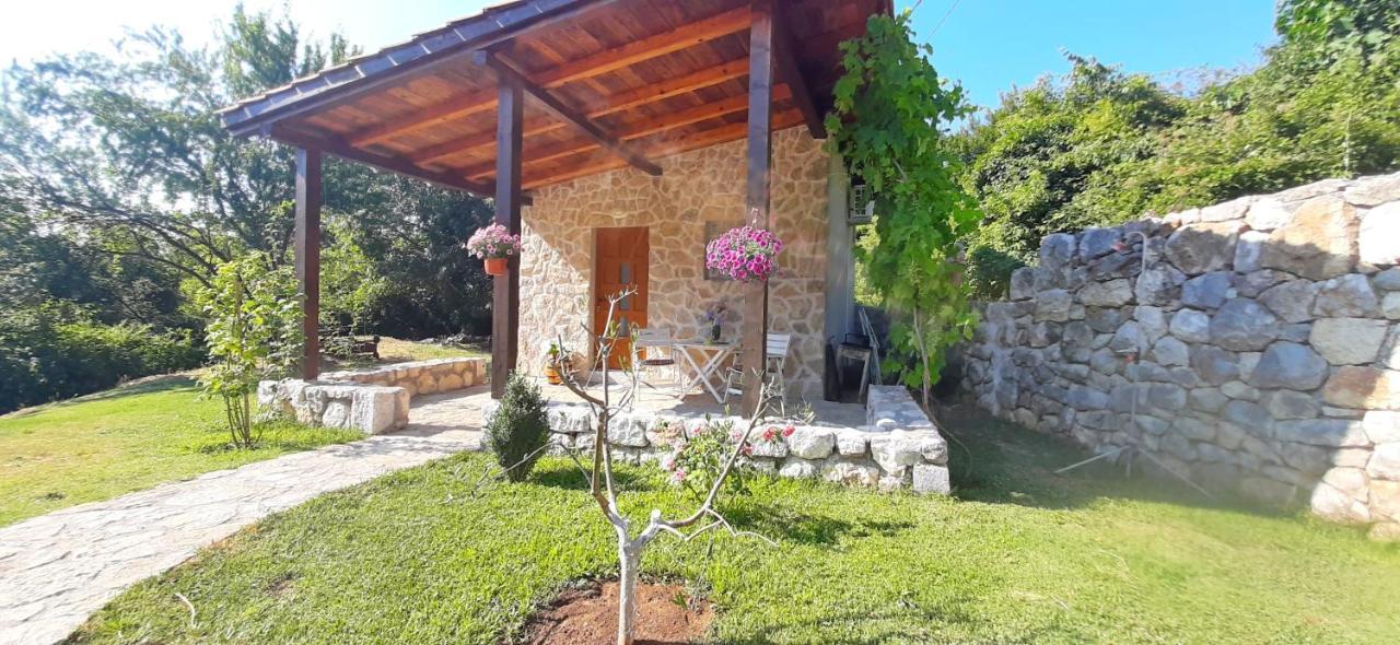 Vila Pegaz Virpazar Bagian luar foto