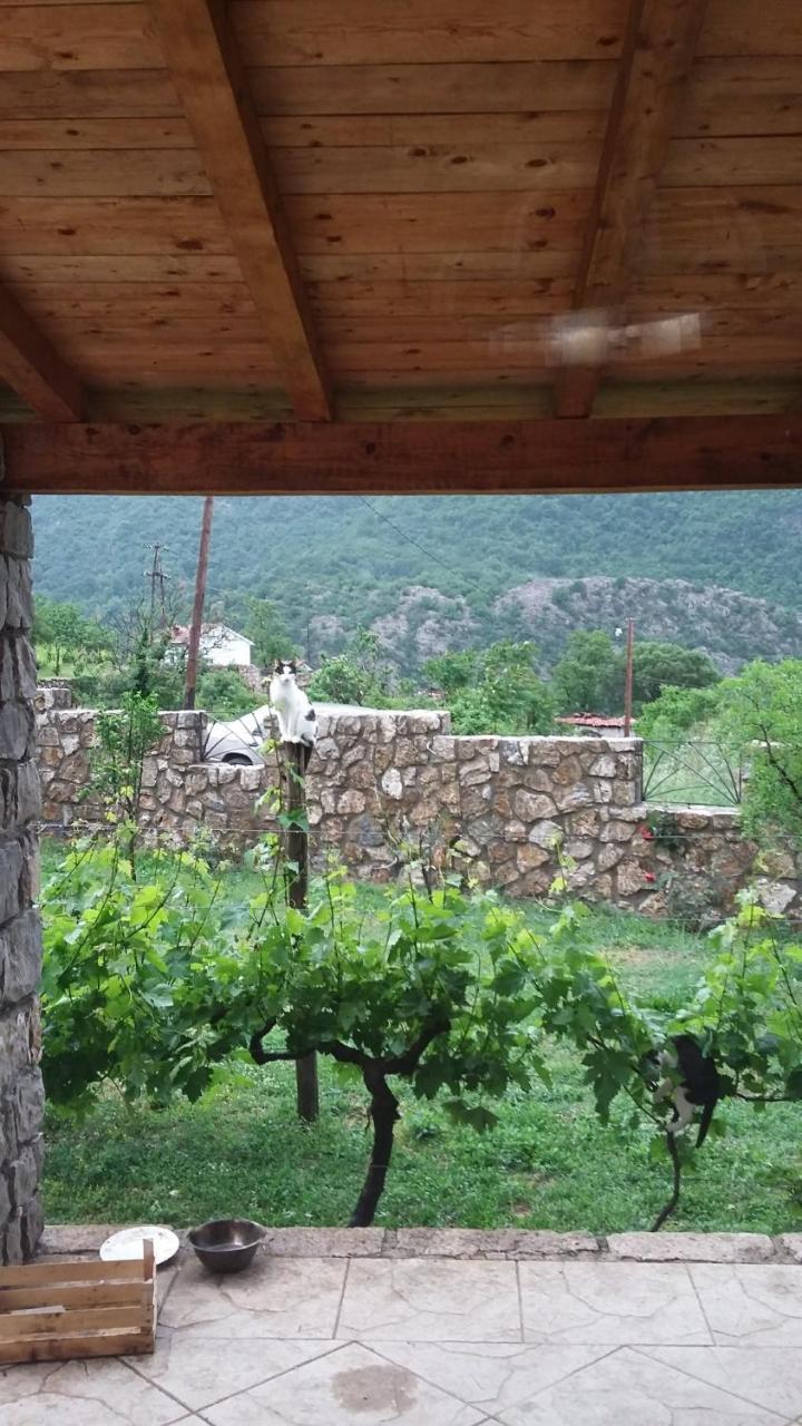 Vila Pegaz Virpazar Bagian luar foto