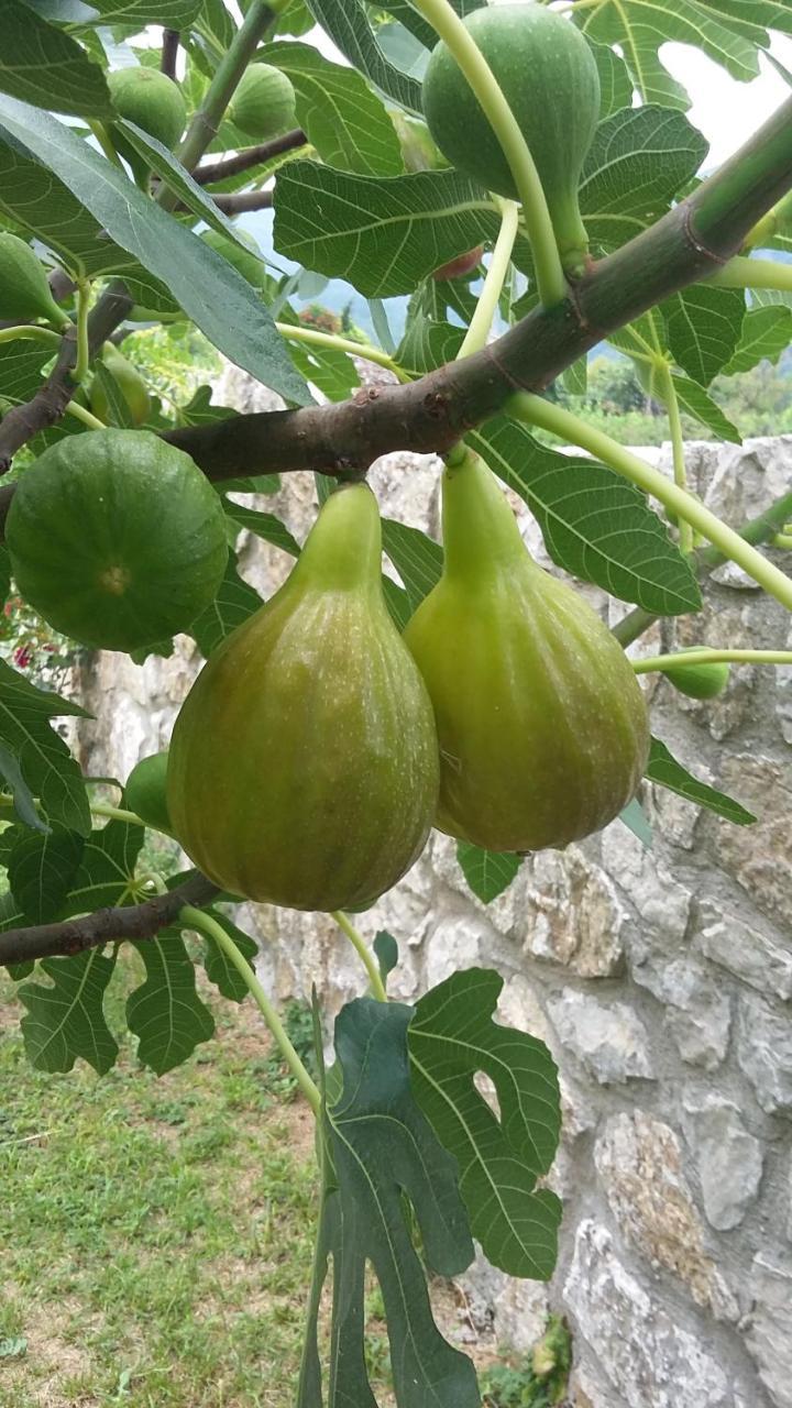 Vila Pegaz Virpazar Bagian luar foto